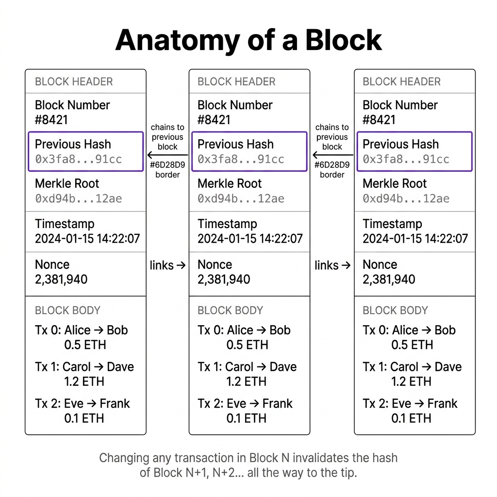 Anatomy of a Block — Header fields and Body transaction list